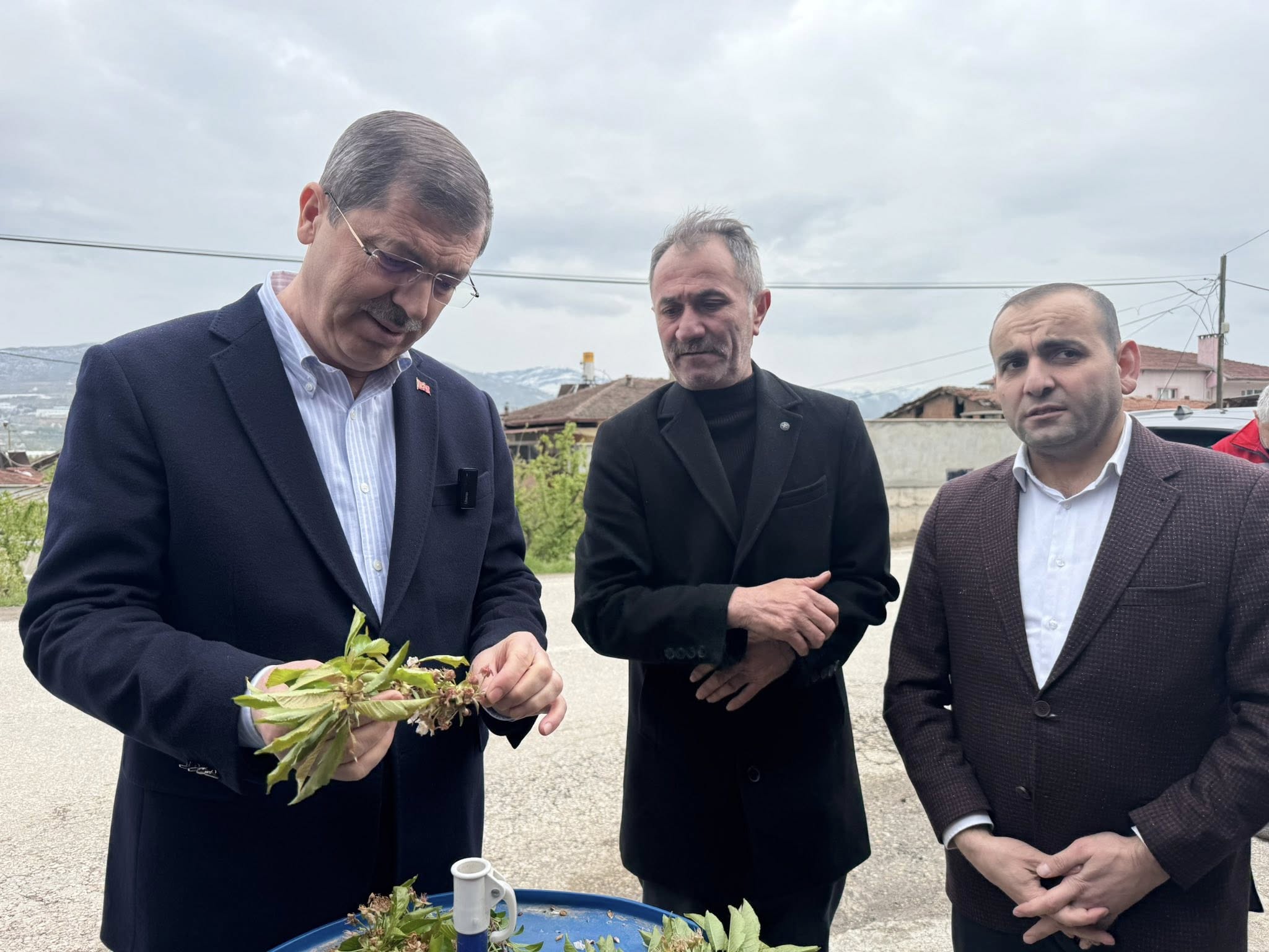 Tokat’ta Zirai Felaket! Vekil Mustafa Arslan Don Zararını Yerinde İnceledi