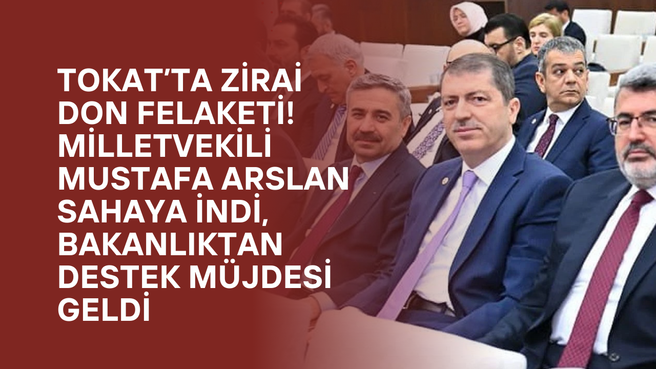 Tokat’ta Zirai Don Felaketi! Milletvekili Mustafa Arslan Sahaya İndi, Bakanlıktan Destek Müjdesi Geldi