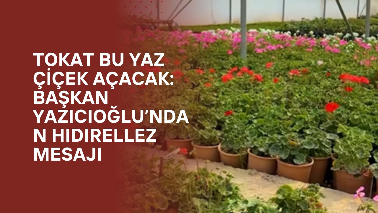 Tokat Bu Yaz Çiçek Açacak: Başkan Yazıcıoğlu’ndan Hıdırellez Mesajı