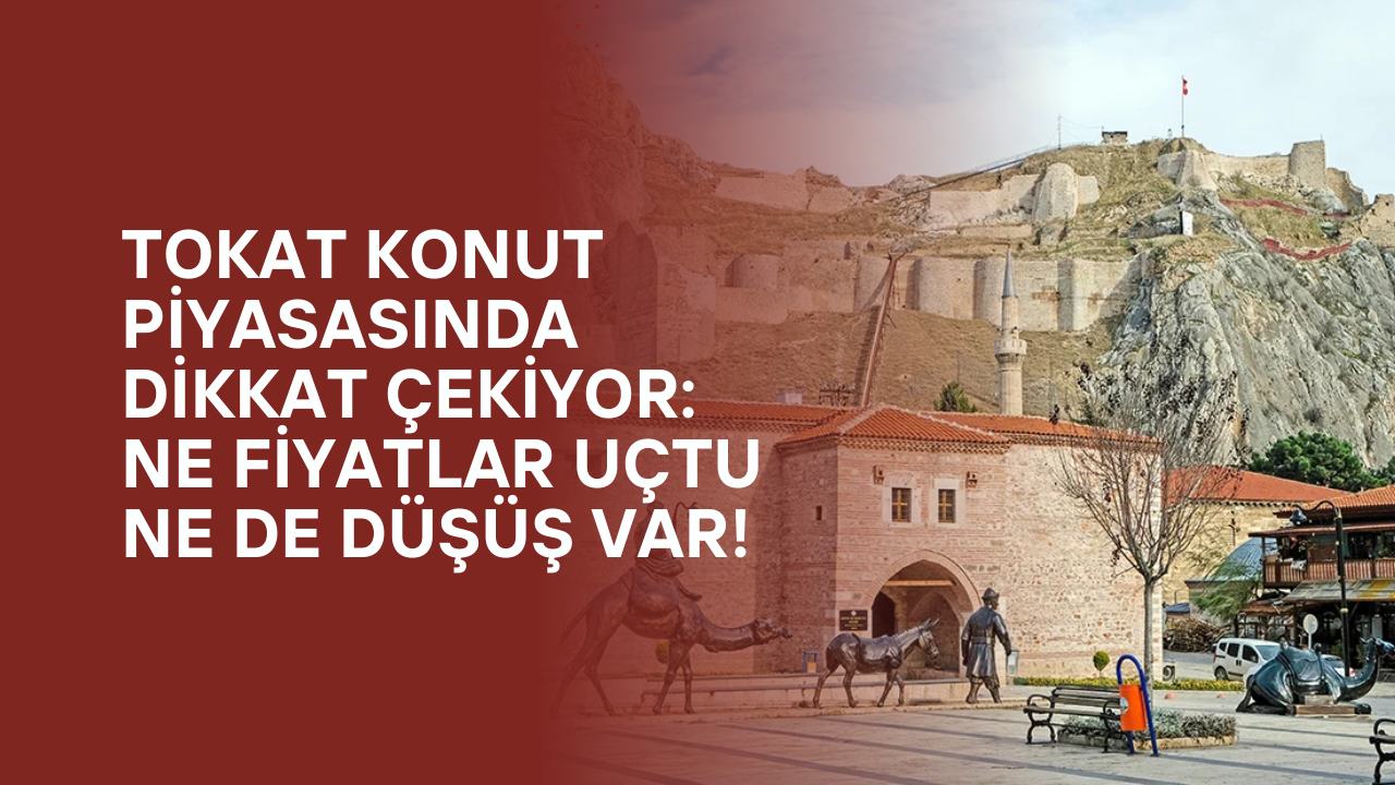 Tokat'ta Hisseli Tapu Sahipleri Dikkat! 90 Günlük Süreyi Kaçıran Hakkını Kaybediyor