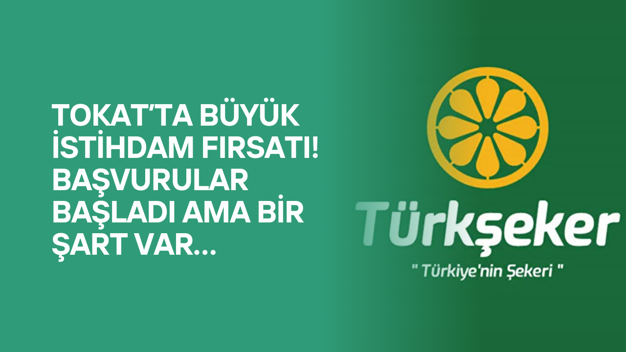 Tokat’ta Büyük İstihdam Fırsatı! Başvurular Başladı Ama Bir Şart Var…