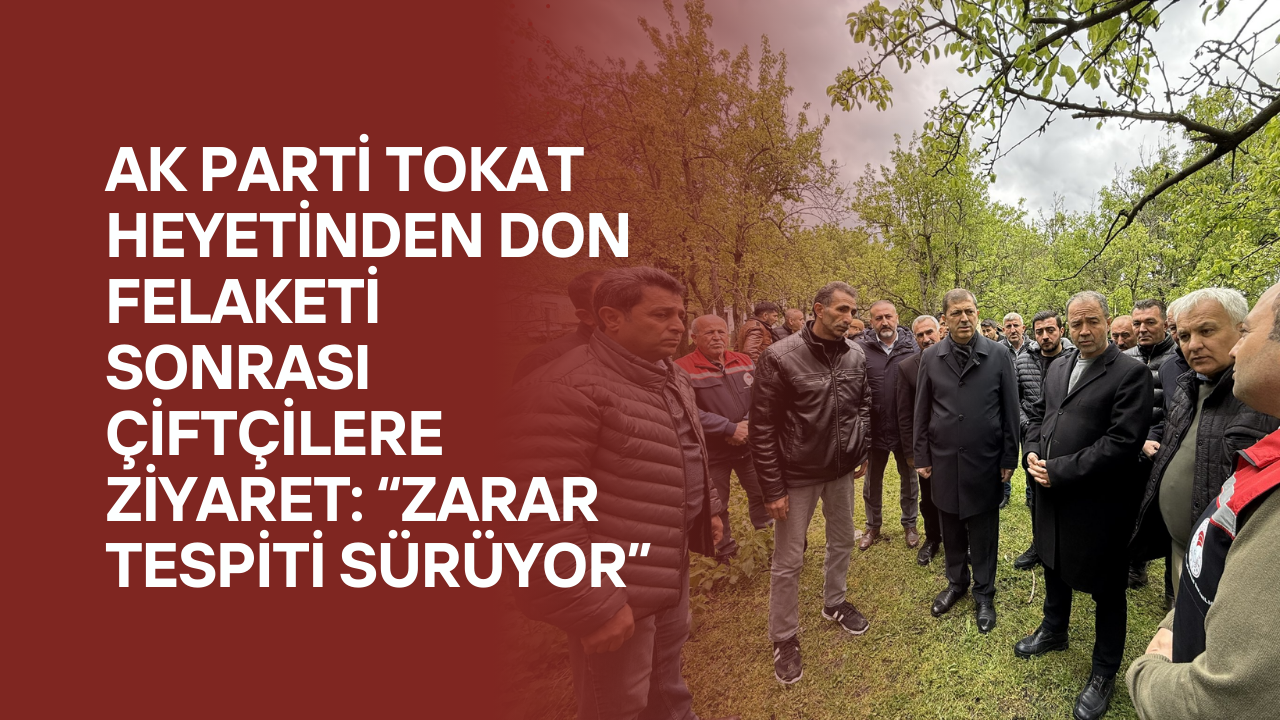 AK Parti Tokat Heyetinden Don Felaketi Sonrası Çiftçilere Ziyaret: “Zarar Tespiti Sürüyor”