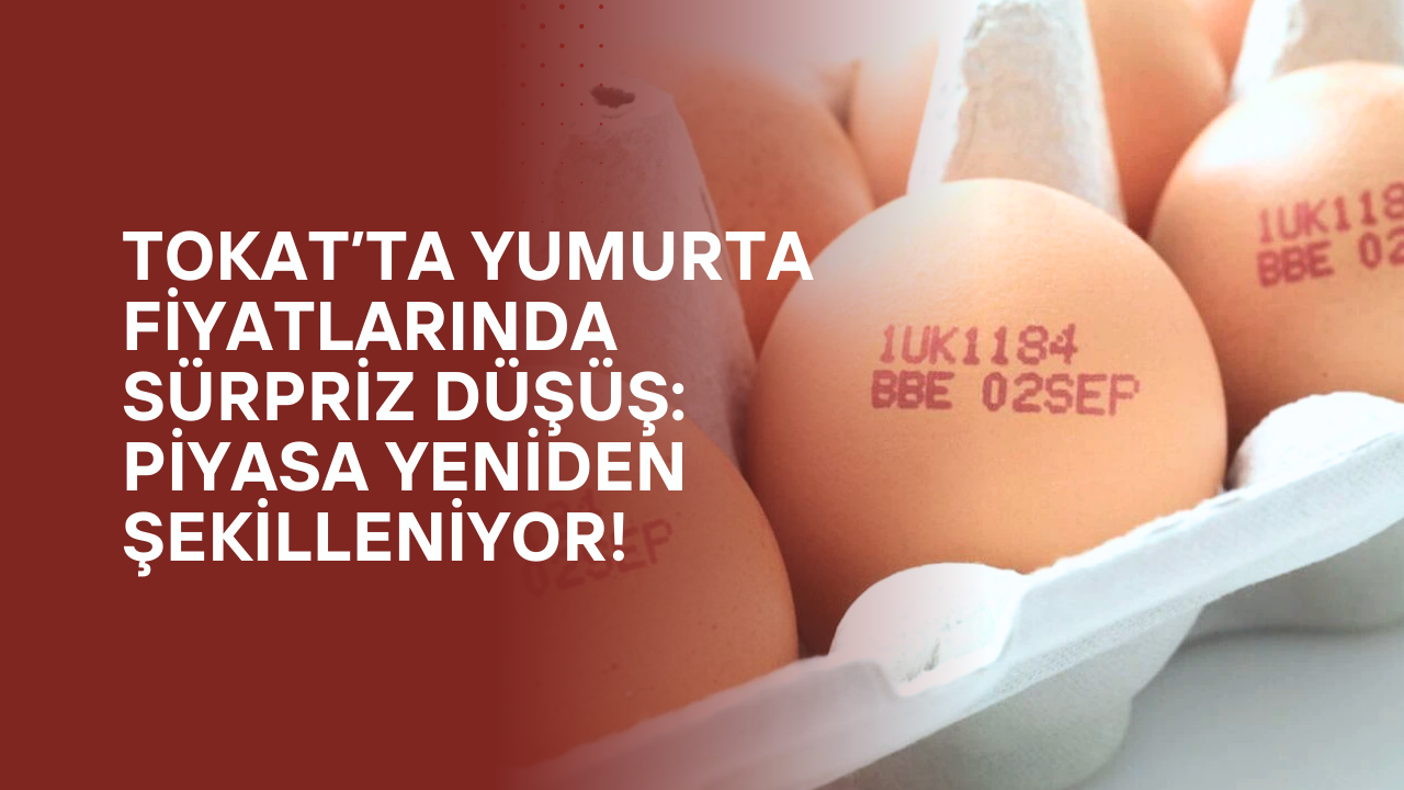Tokat’ta Yumurta Fiyatlarında Sürpriz Düşüş: Piyasa Yeniden Şekilleniyor!