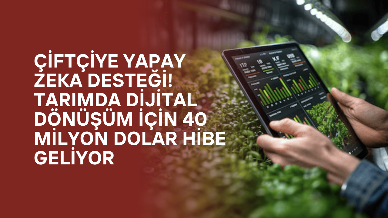 Çiftçiye Yapay Zeka Desteği! Tarımda Dijital Dönüşüm İçin 40 Milyon Dolar Hibe Geliyor