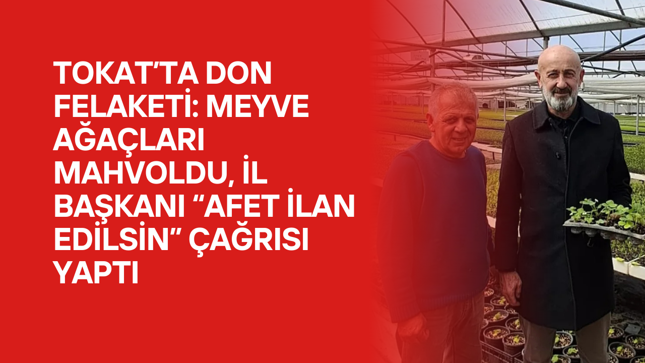 Tokat’ta Don Felaketi: Meyve Ağaçları Mahvoldu, İl Başkanı “Afet İlan Edilsin” Çağrısı Yaptı