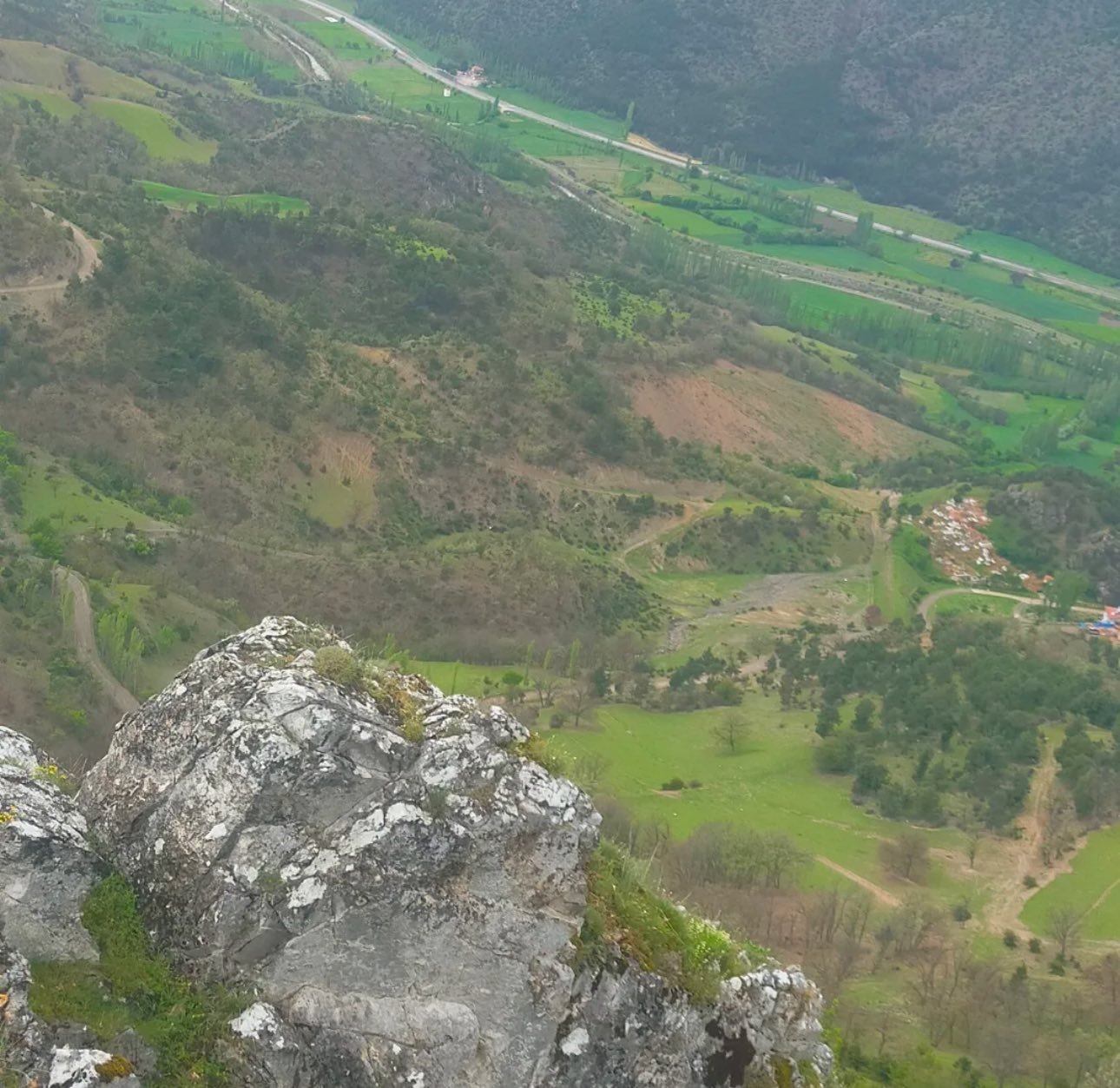 Tokat Turhal'da Nefes Kesen Kurtarma: AFAD Ekipleri Kayalıklarda Mahsur Kalan Keçiyi Kurtardı!