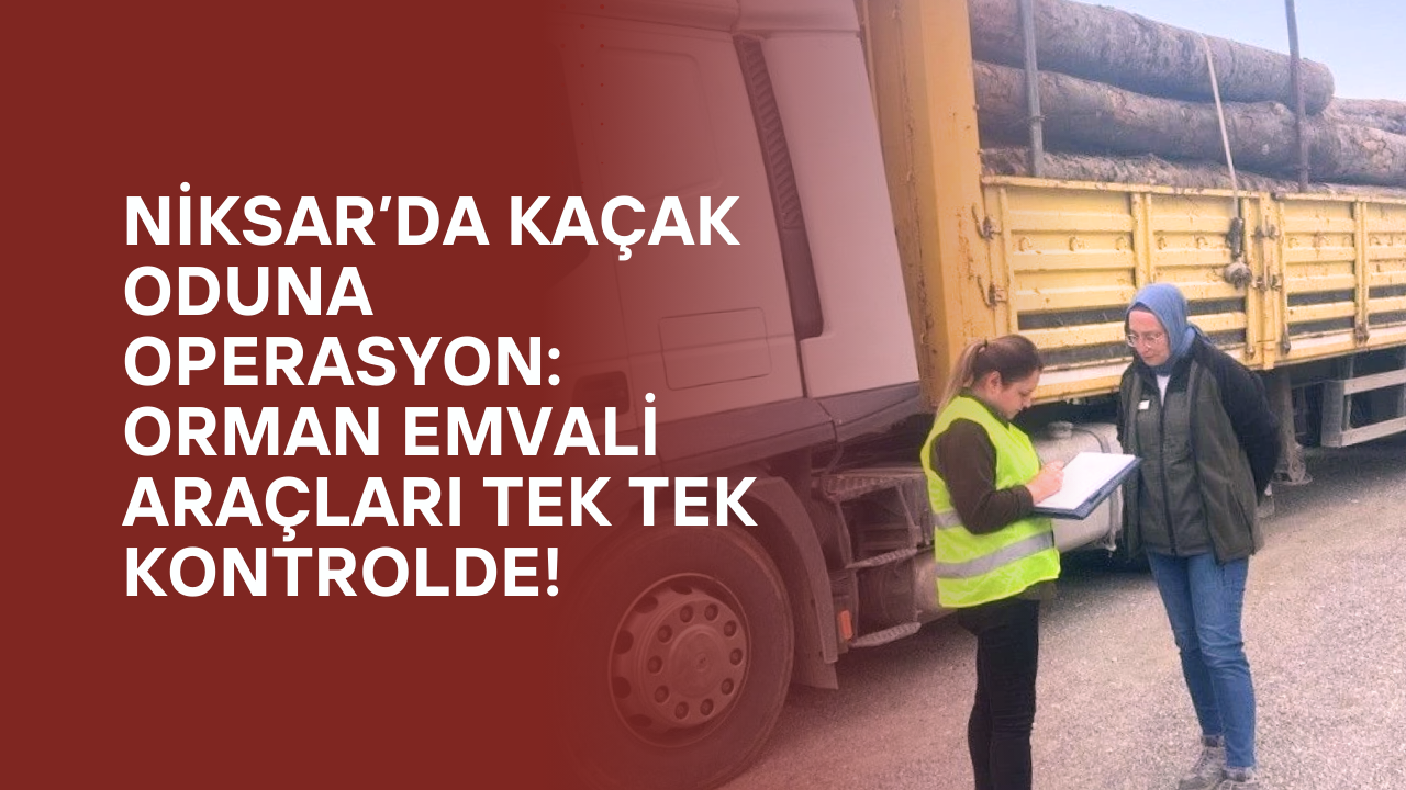 Niksar’da Kaçak Oduna Operasyon: Orman Emvali Araçları Tek Tek Kontrolde!