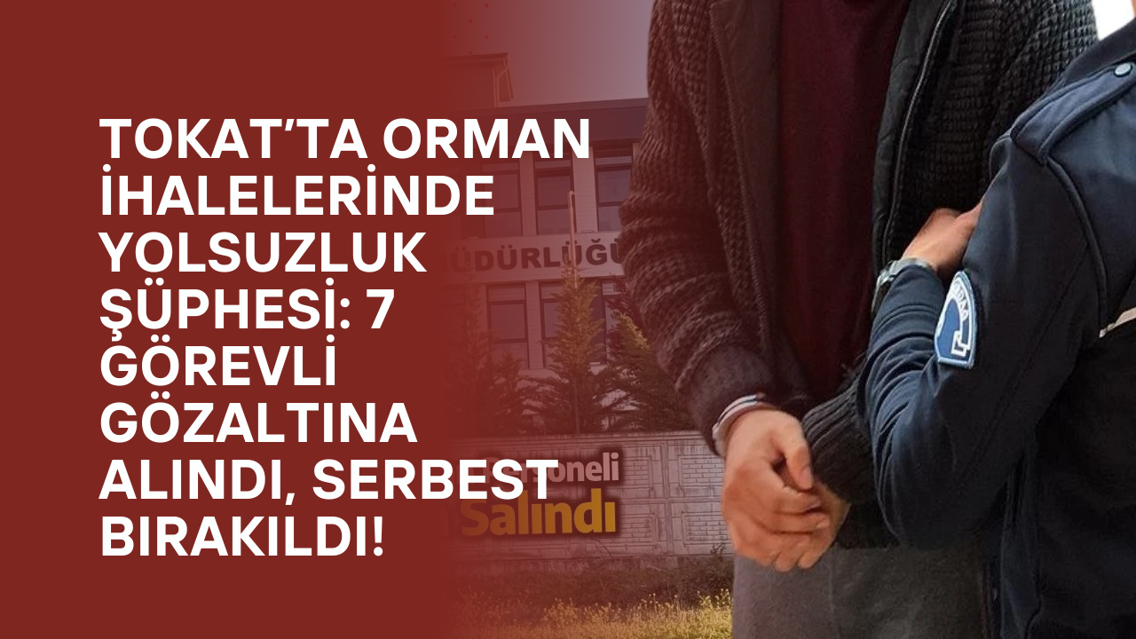 Tokat’ta Orman İhalelerinde Yolsuzluk Şüphesi: 7 Görevli Gözaltına Alındı, Serbest Bırakıldı!