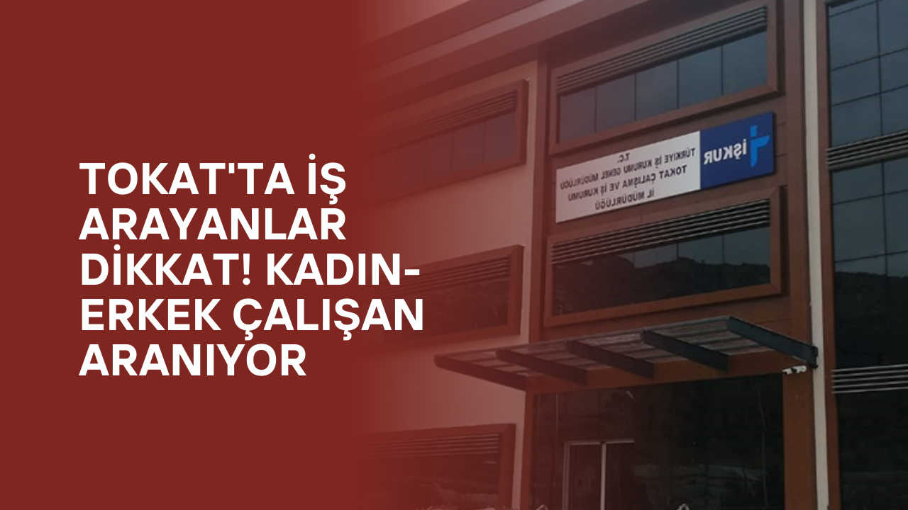 Tokat'ta iş arayanlar dikkat! Kadın-Erkek çalışan aranıyor